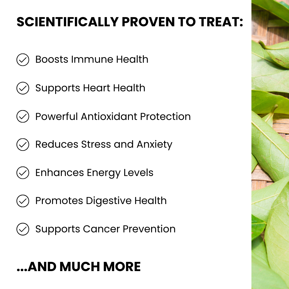 Buy 1 Get 1 FREE - 100% Pure Organic Soursop Leaf tea