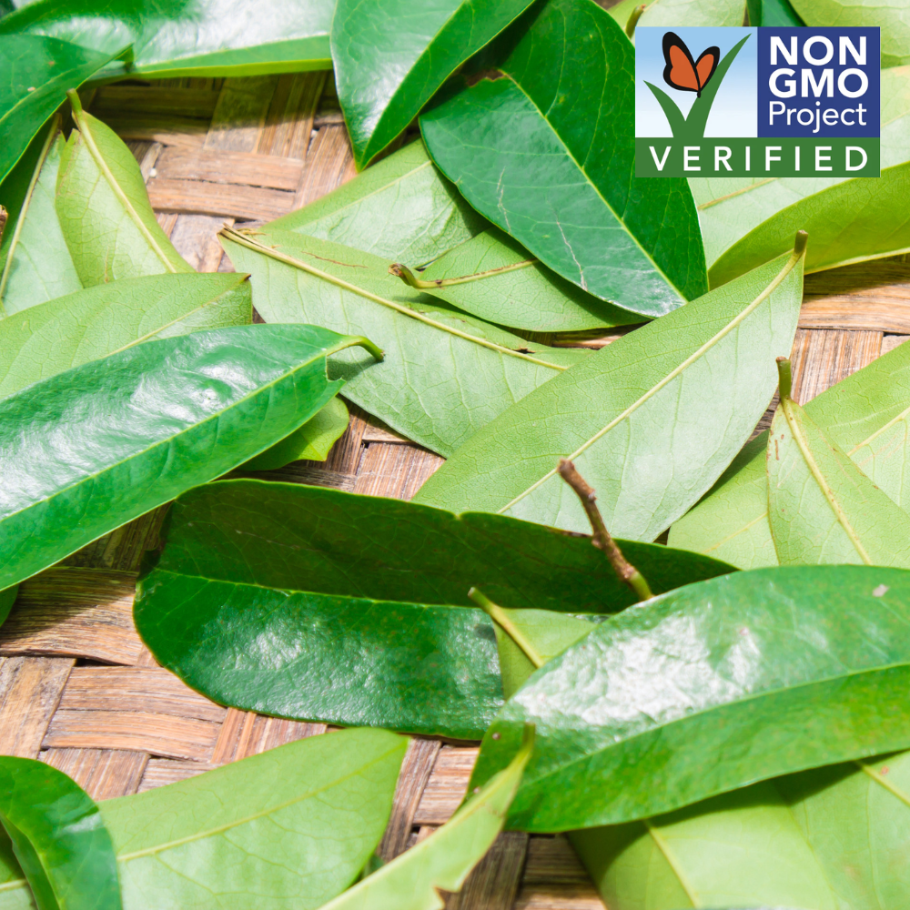 Buy 1 Get 1 FREE - 100% Pure Organic Soursop Leaf tea