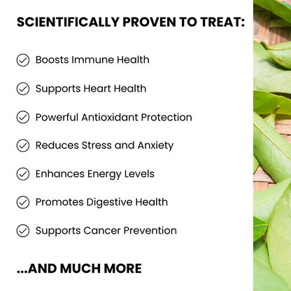 Buy 1 Get 1 FREE - 100% Pure Organic Soursop Leaf tea